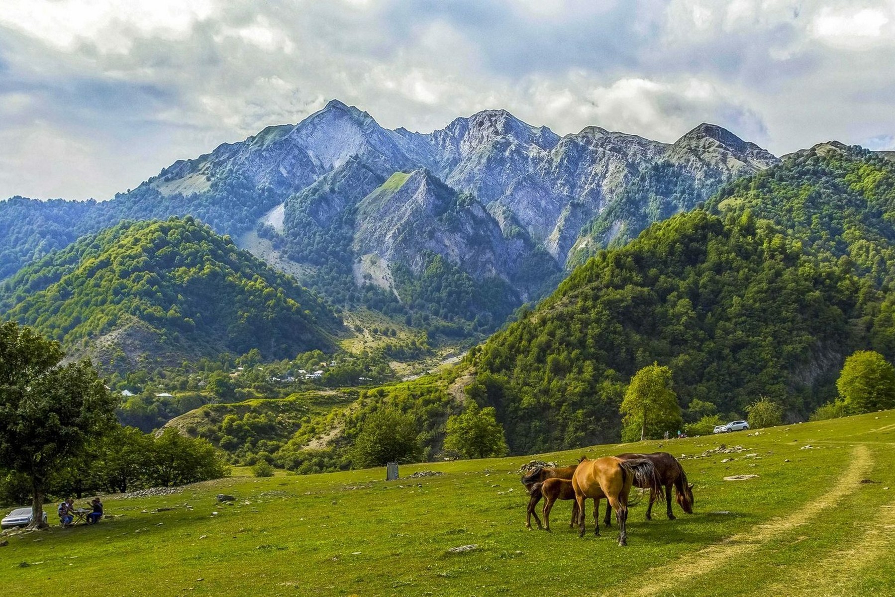 «BÖYÜK QAFQAZ»
