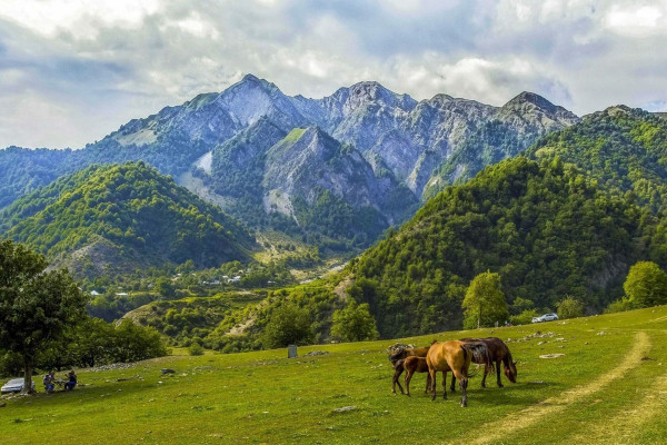 «BÖYÜK QAFQAZ»